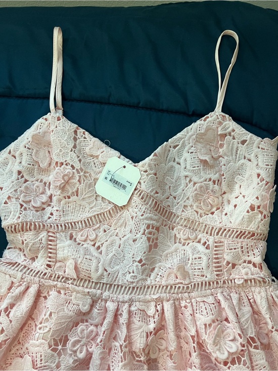 Altar'd State Dresses & Skirts - Altar'd State Soft Pink Satin-Lined Lace Mini Dress